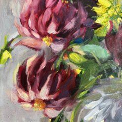 Garden Dahlia’s Elmarie (3)