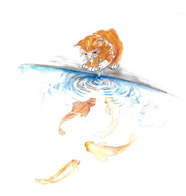 Hermine Cat Series (6)