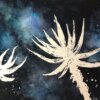 aloes-in-the-dark