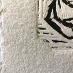 cat-detail-2