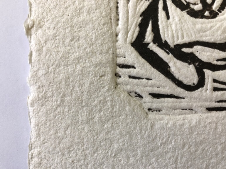 cat-detail-2