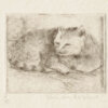 mimi-vd-merwe-dry-point-etch-kitty