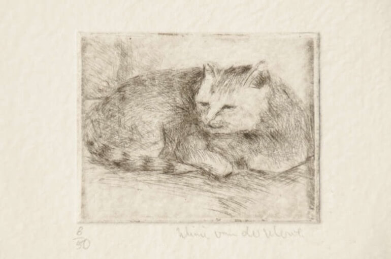 mimi-vd-merwe-dry-point-etch-kitty