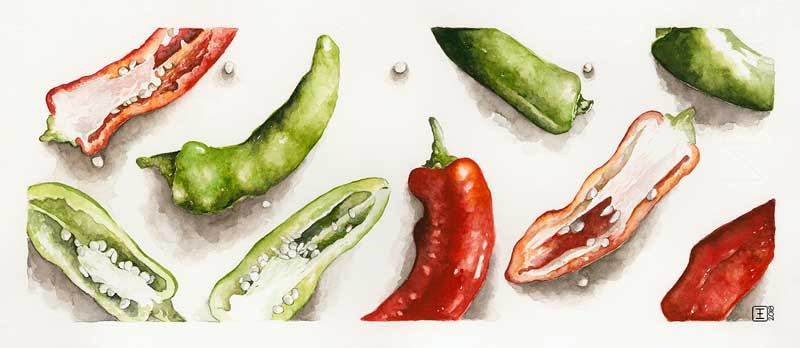 elizabeth-tristram-chillies